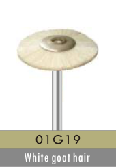 01G19